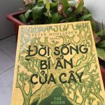Đời sống bí ẩn của cây