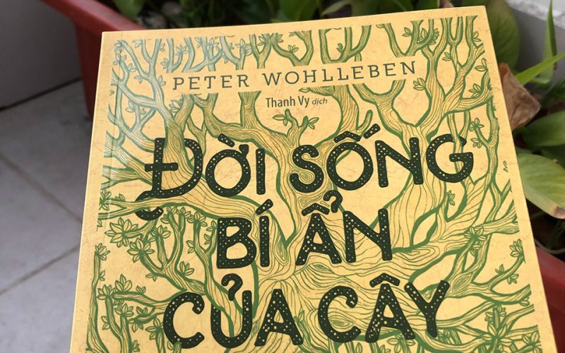 Đời sống bí ẩn của cây