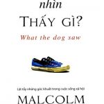 Chú Chó Nhìn Thấy Gì